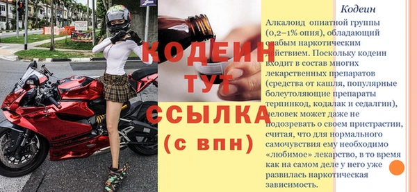 молекула духа Новосибирск