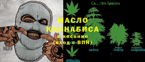 дмт Санкт-Петербург