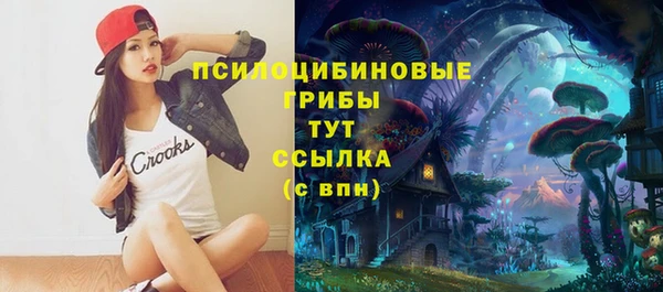 ГАЛЛЮЦИНОГЕННЫЕ ГРИБЫ Верхний Тагил