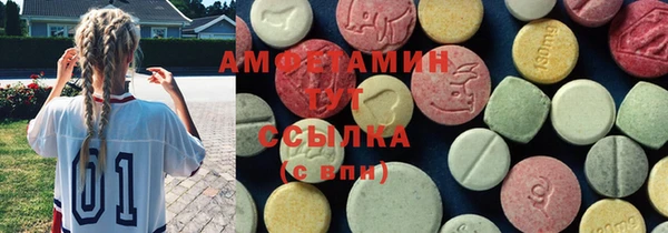 молекула духа Новосибирск