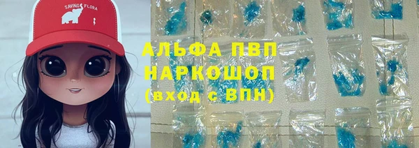 молекула духа Новосибирск