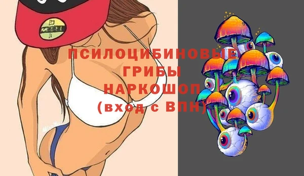 молекула духа Новосибирск