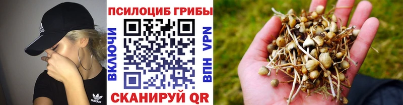 Галлюциногенные грибы мухоморы  наркошоп  Ульяновск 