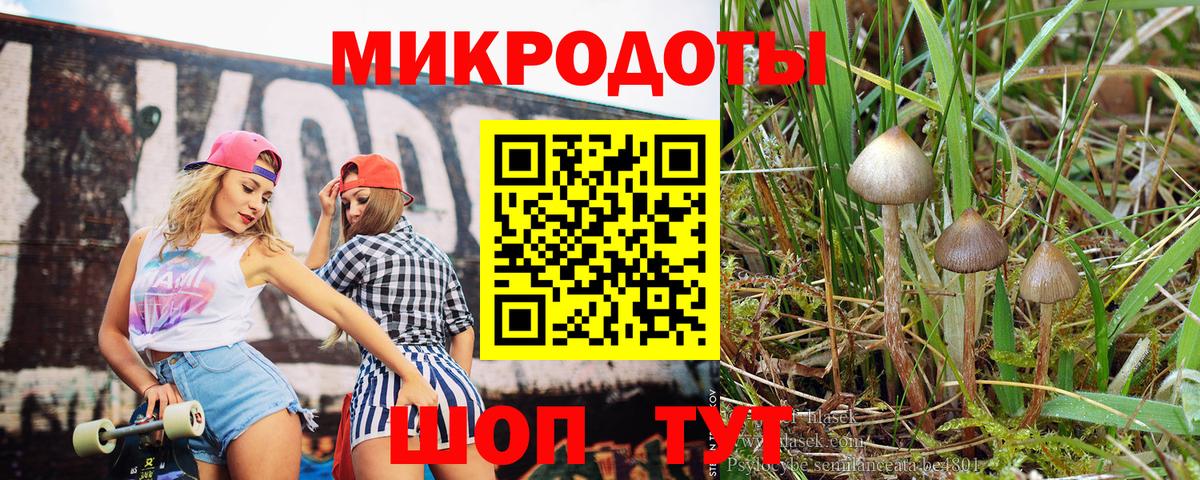 Галлюциногенные грибы Cubensis  Вход с VPN  Россия  Галлюциногенные грибы Psilocybine cubensis 