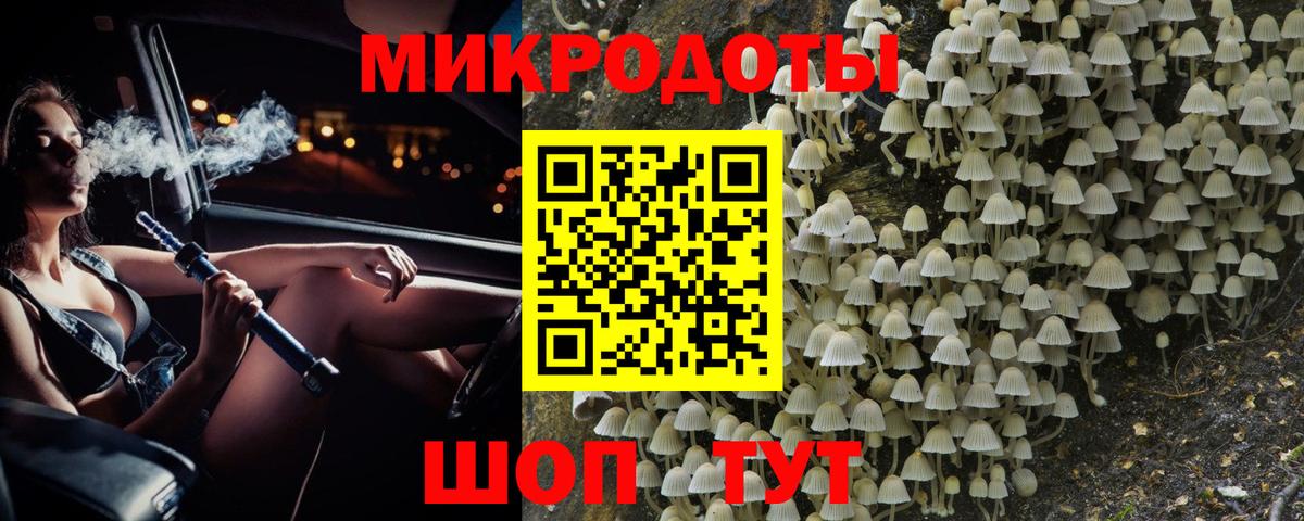 Галлюциногенные грибы прущие грибы Россия