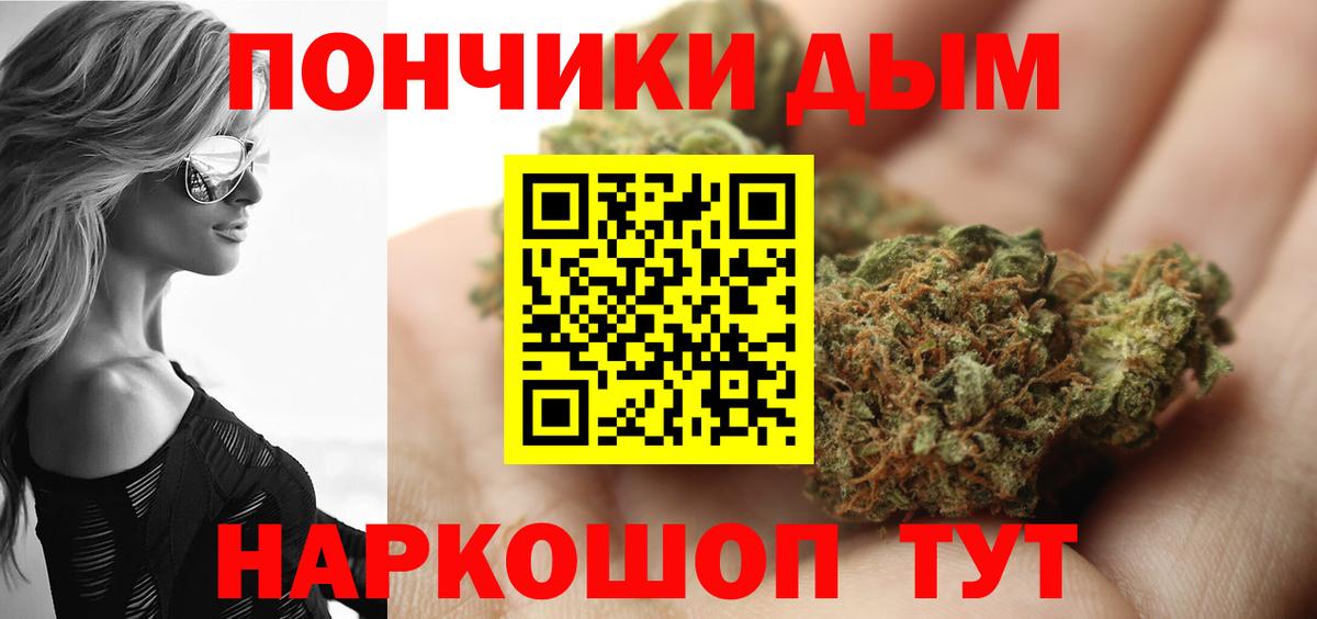 Бошки марихуана план  Вход с VPN  Канабис тримм  Россия 